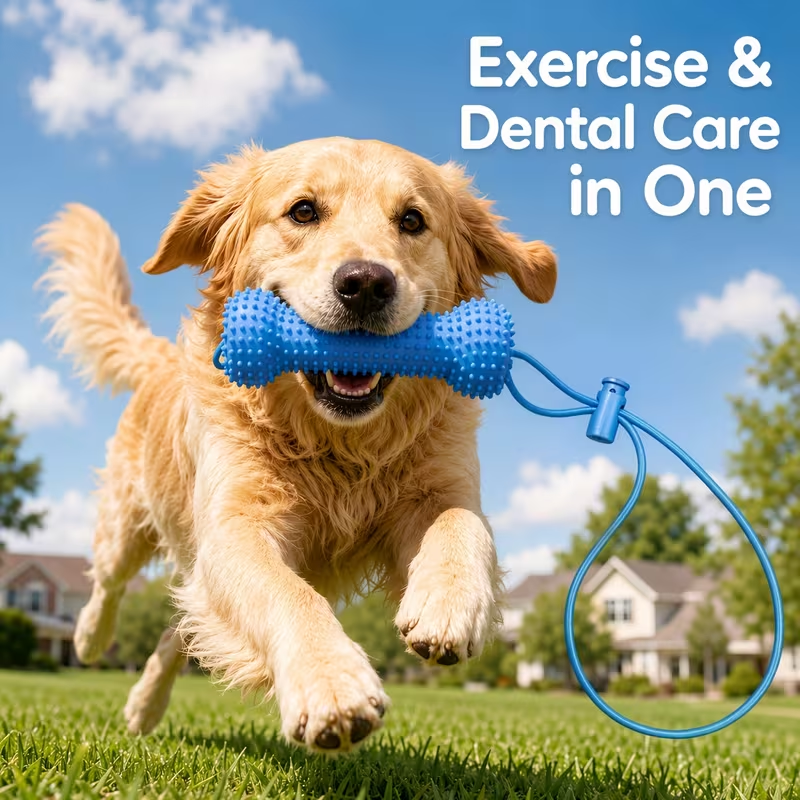 Limited Time: 30% OFF⚡ Interactive Dental Chew Toy & Self-Brushing Dog Toothbrush Stick
