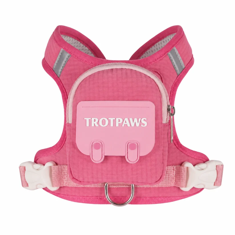 Limited Time: 30% OFF⚡ 2-in-1 Cute pet Self-Pack Harness with Mini Backpack