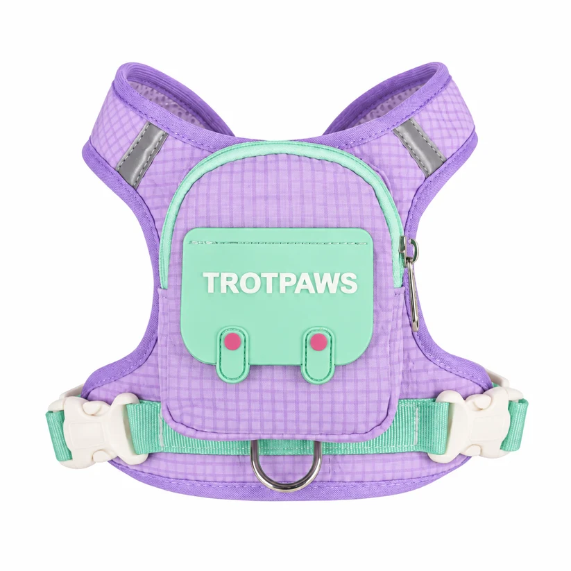 Limited Time: 30% OFF⚡ 2-in-1 Cute pet Self-Pack Harness with Mini Backpack